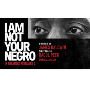 Ingrid Bohannon-I Am Not Your Negro Blog Post