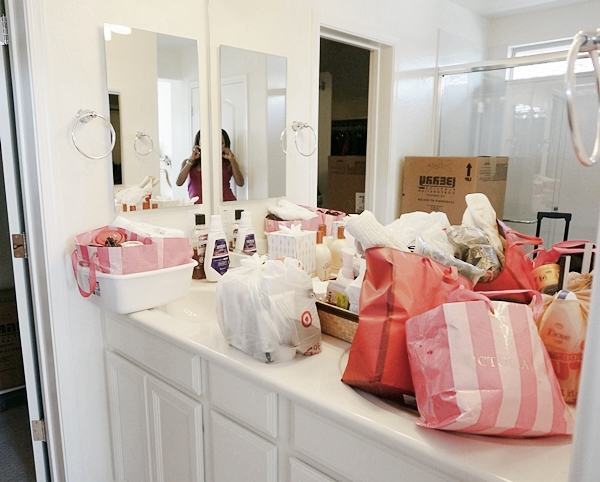 The Dollhouse master bathroom on move-in day